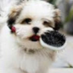 Meet your Posher, Michaela